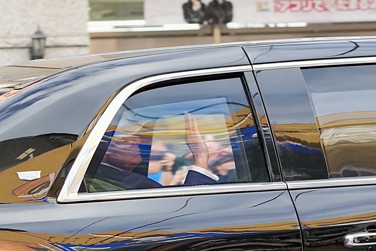 トランポリン大統領 トランポリン 大型 10Ft 直径305cm 安全セーフティネット付 昇降ハシゴ