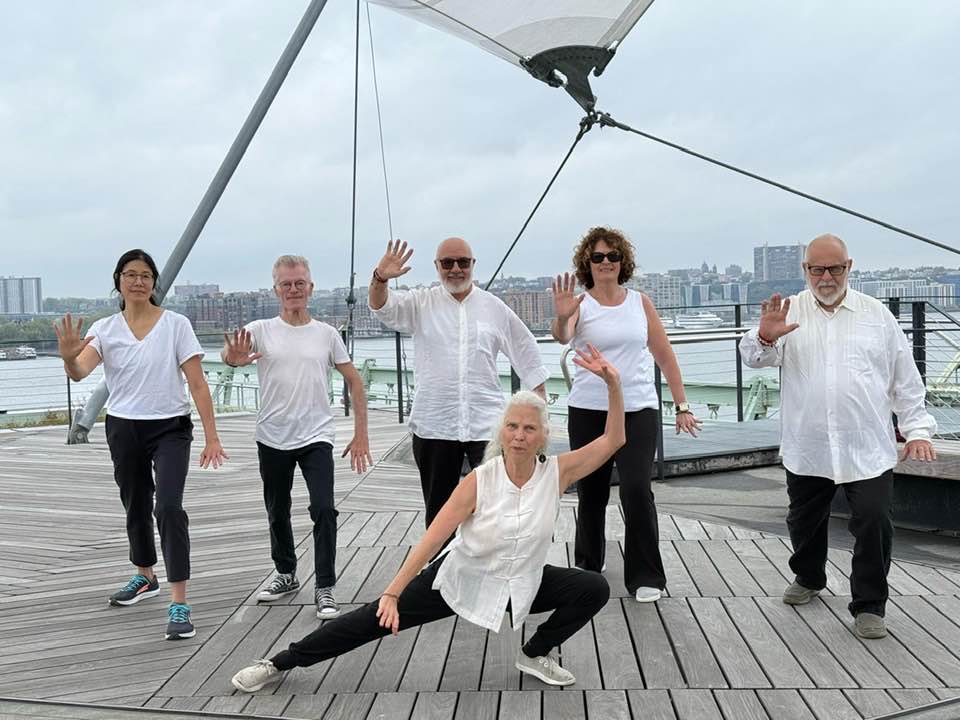 taosharon's tweet photo. Tai Chi on Wednesdays! Online I Ching, Monday evening, November 10 - https://t.co/QlZANaFemR https://t.co/81MnPXLTak