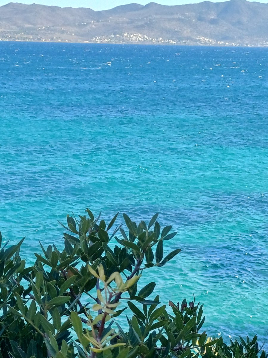 Χρόνια πολλά Ελλάδα!🇬🇷🩵