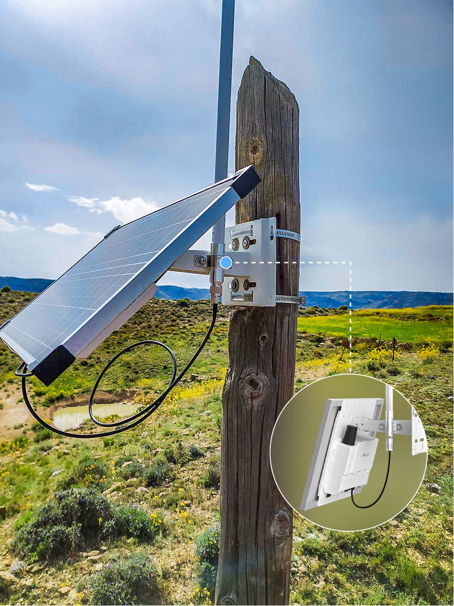 MilesightIoT's tweet image. Discover how IoT transforms livestock farming in Spain! Milesight SG50 gateways and LoRaWAN® sensors track cattle in real time, boost efficiency, and ensure animal welfare. Full story: milesight.com/iot/success-st…