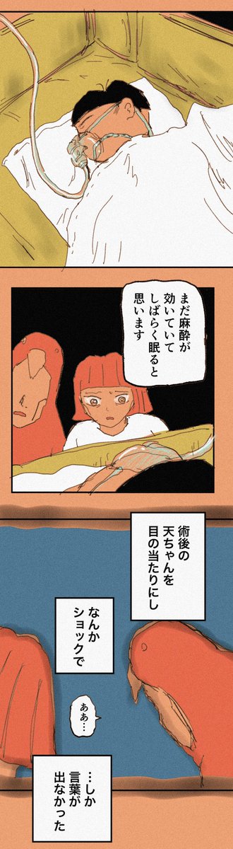 手術が終わって、待ちに待った天ちゃんに会えたのに、ぼくはショックを受けてしまったのだ。天ちゃんは

#糸島STORY 