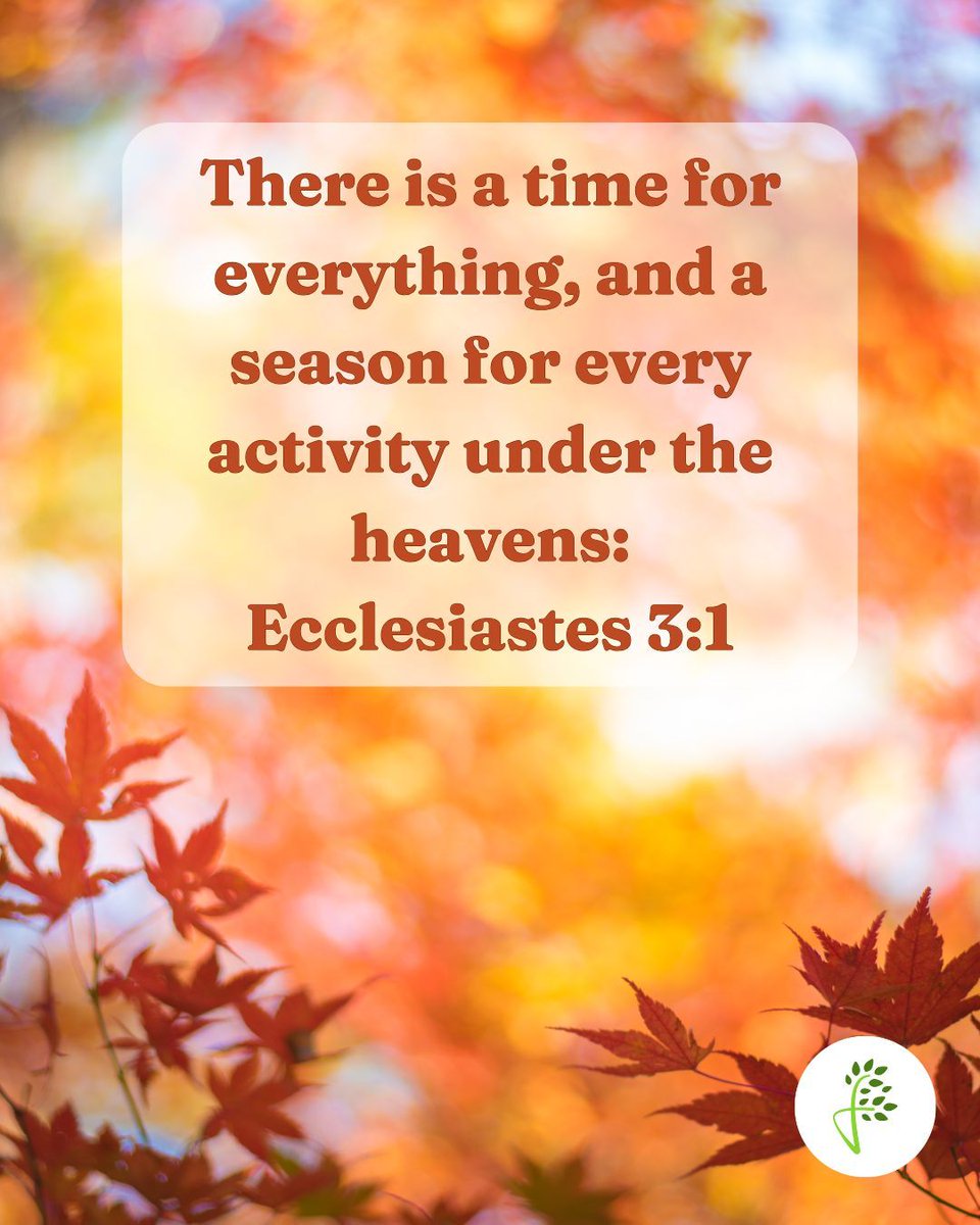 There is a time for everything, and a season for every activity under the heavens: Ecclesiastes 3:1 
#dailyword #christian #bible
