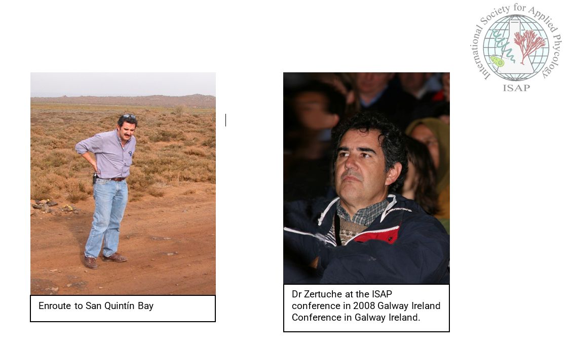 In Memoriam: Prof. Dr. José Antonio Zertuche González (†2025).
A dedicated scientist, mentor, and leader in seaweed research, José’s legacy at UABC and within the phycology community will endure.
ISAP extends heartfelt condolences to his family and colleagues.