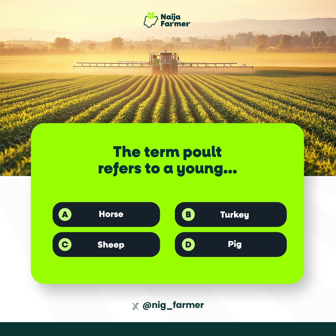 #NaijaFarmerTest 

Agricultural Brain Teaser

Test your Agricultural Science knowledge.

Retweet to your followers.