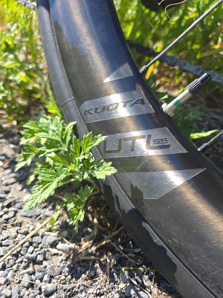 自転車本体 kuota KUOTA 2013 ROADBIKE・ROADRACER KURARO FRAMESET(クオータ 2013年