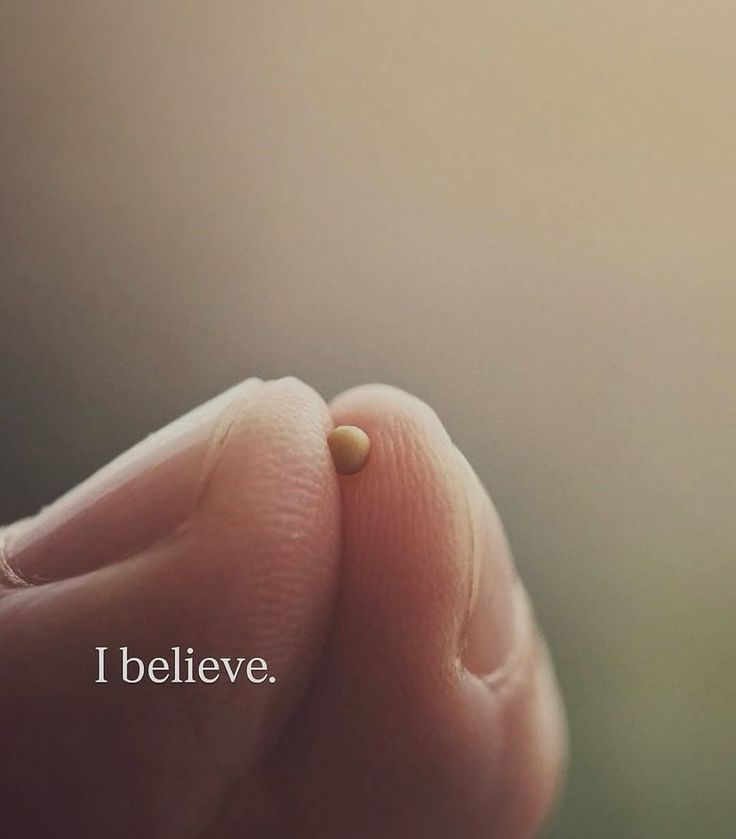 Nothing is impossible.