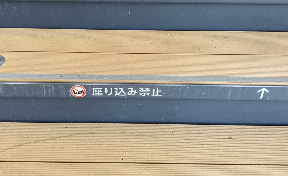 【ももページ】 momose モモセ MC-TOCHI/E BLU-BS 国産 エレキギター