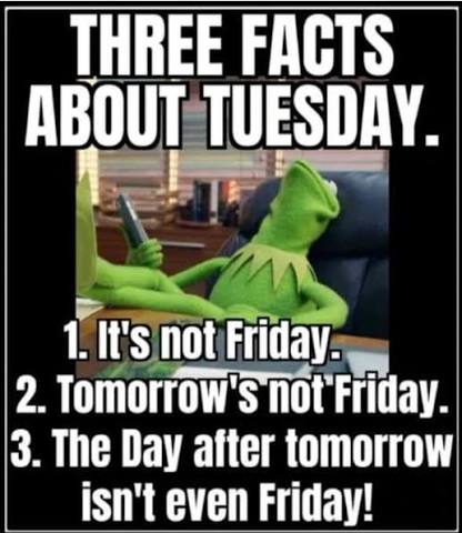 At least it's not Monday

<a href="/USA4ever65/">🇺🇲 Lisa ⚔️ Angel Guardian🛡️</a>
<a href="/sep16000/">sep16000</a>
<a href="/Gentleman2741/">The Gentleman🎩</a>
<a href="/blacklab_14/">🫵🇬🇧Dunky🏴󠁧󠁢󠁳󠁣󠁴󠁿🫵</a>
<a href="/PSwal807/">Penny Calls a Lid 🇺🇸🇮🇹</a>
<a href="/Ghos_tofFire/">Ghost</a>
<a href="/JoeDarth1/">Joe Darth</a>
<a href="/Embassy_of_Mars/">Uncle SAM</a>
<a href="/GuenterK13/">Guenter</a>
<a href="/mentze85196/">Future America</a>
<a href="/BlueflowerNew22/">🦋✨Blueflower222✨🦋</a>
<a href="/DandelionQuill/">✨🦋𝒬𝓊𝒾𝓁𝓁🪶✨</a>
@end3of6Days9
<a href="/Bopper987/">BigBopper</a>
<a href="/Para_Bellum666/">OldMonkey 🇺🇸🇲🇫🇨🇦</a>
<a href="/FireBallNPizza/">FireBallPizza</a>
@DOWNProdukt
<a href="/Spooks/">Rocket_Medic</a>
<a href="/Ghos_tofFire/">Ghost</a>