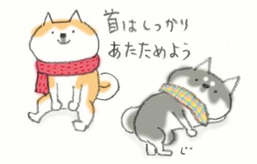 nico⭐️ 断捨離中 1日おきメモ（中原じゅん子） on X