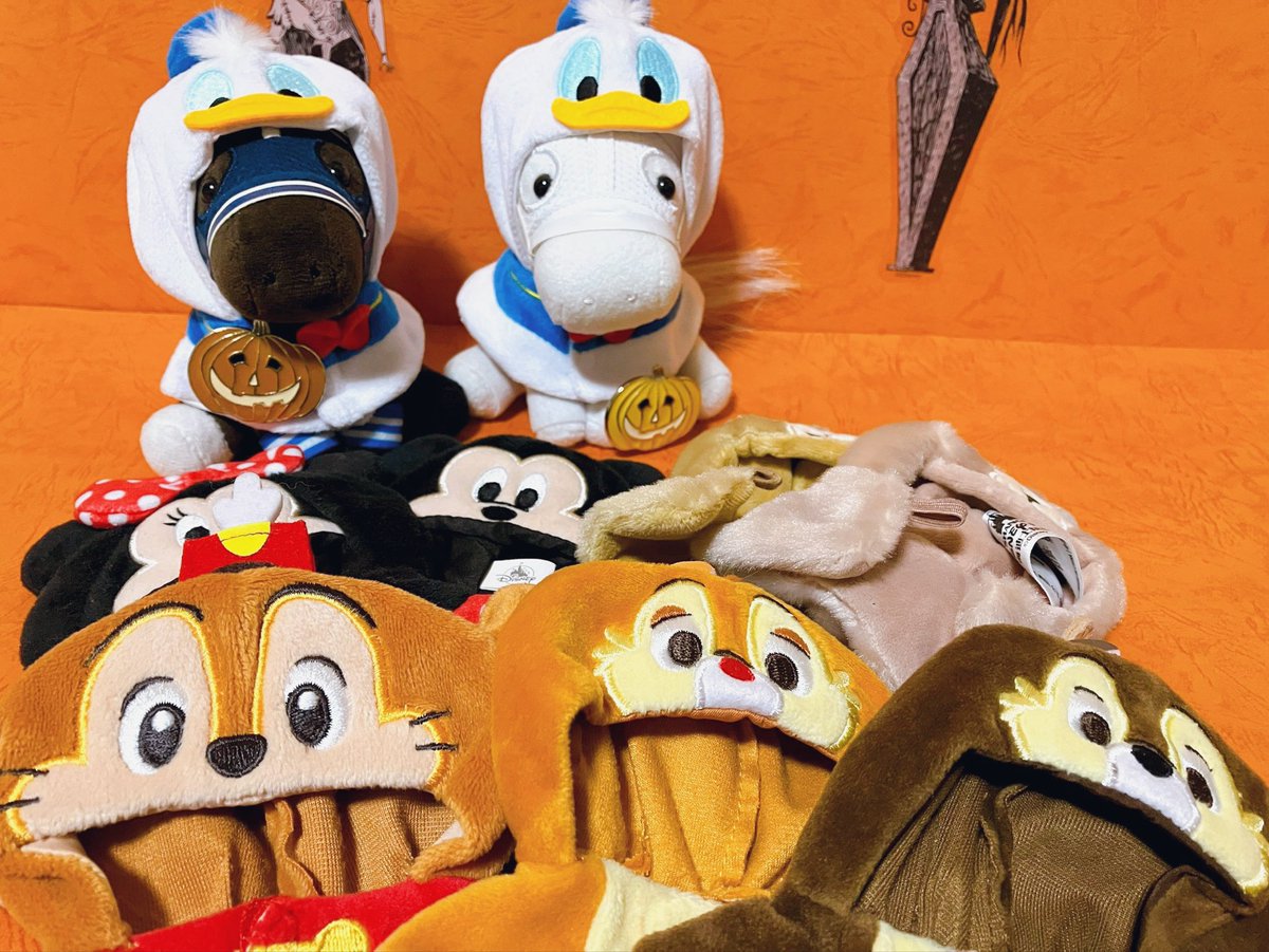 ププにゃん (@pupunyan6826) / Posts / X