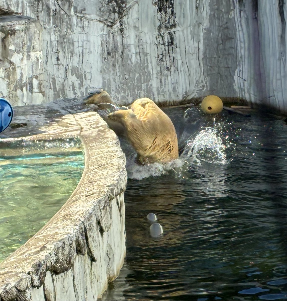 りえっクマ 4001505239526?$VS_1500$