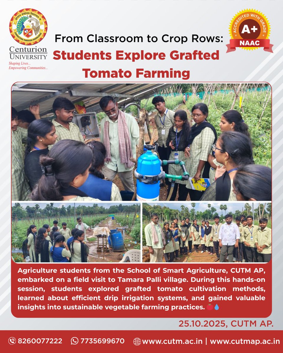 CUTM_AP's tweet image. Learning Beyond Classrooms — Growing Skills in the Field 🍅

#cutmap #cutmbbsr #cutmpkd #smartagriculture #handsonlearning #fieldbasededucation #tomatofarming #graftedplants #dripirrigation #sustainablefarming #agriculturallabs #studentsinfield