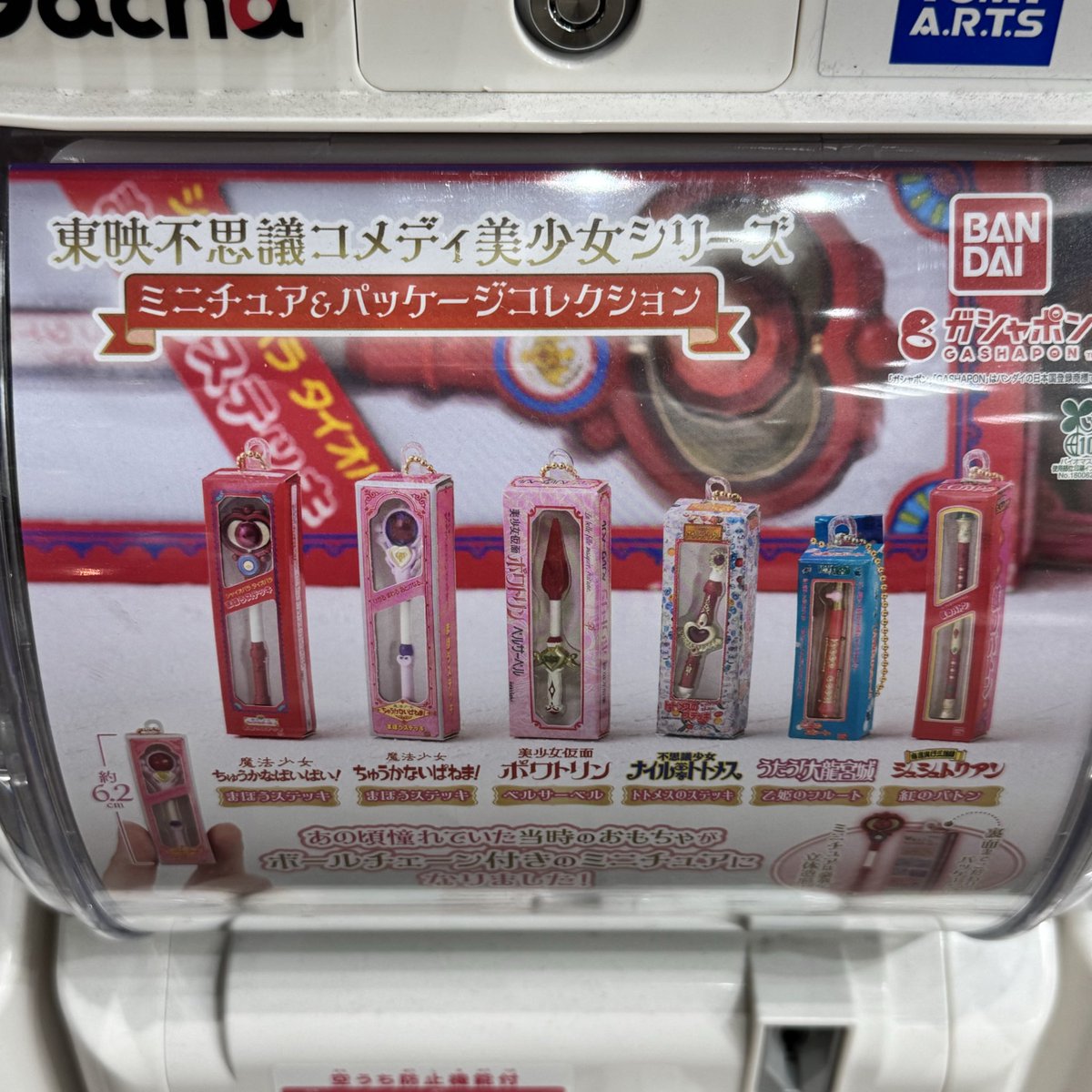 三毛猫姉妹くきくらと飼主の道 on X