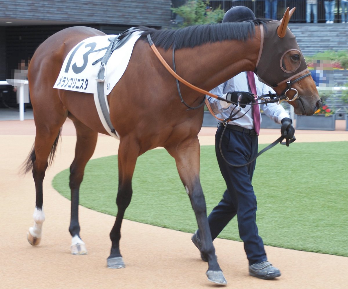 The Dim Feet of White-maned Desire　少女と馬 The Dim Feet of White-maned Desire 少女と馬