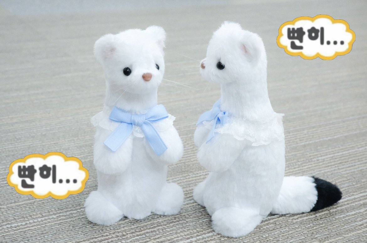 오늘 밤 10시에 족제비 첫 오픈합니다 ⛄️💭

naver.me/GT6UTQFE