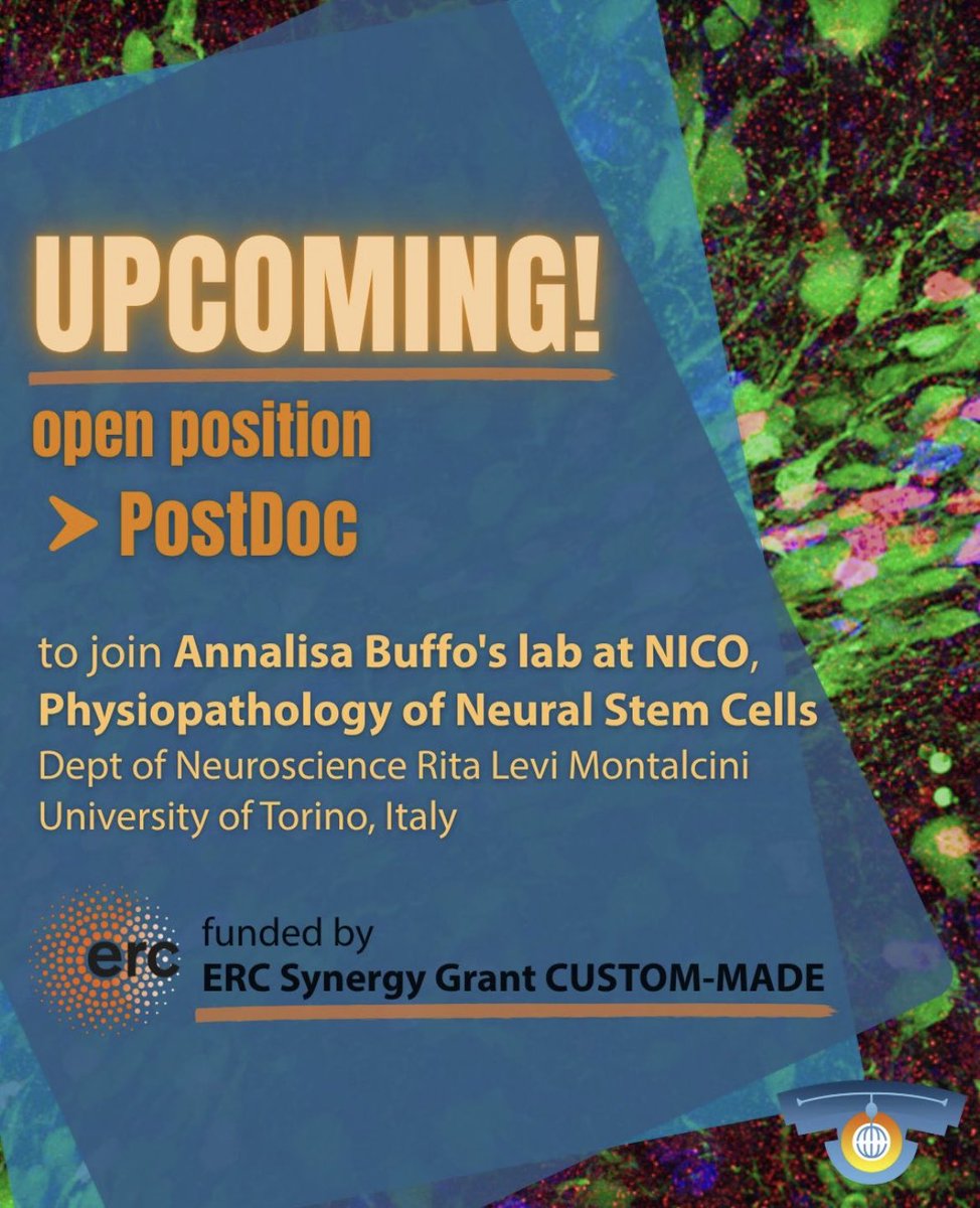 Buffo lab tweet media