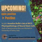 Photo by Buffo lab (@BuffoLab)