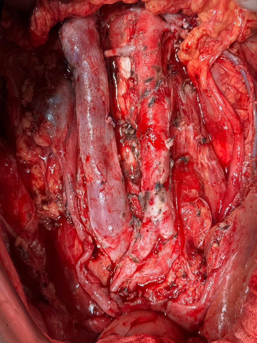 mahendra pal tweet media