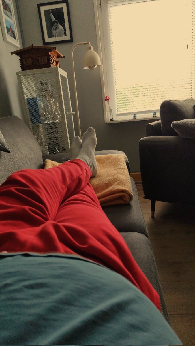 Yoshi🦕 tweet media