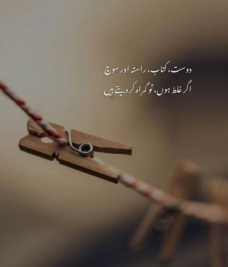 Sherkhan287700's tweet image. 💯💯💯
 #dost