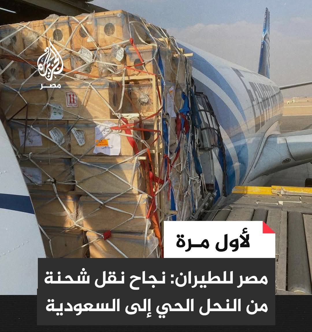 نحل استوردته السعودية من مصر
مشكلتك معهم،مش مع نحلنا