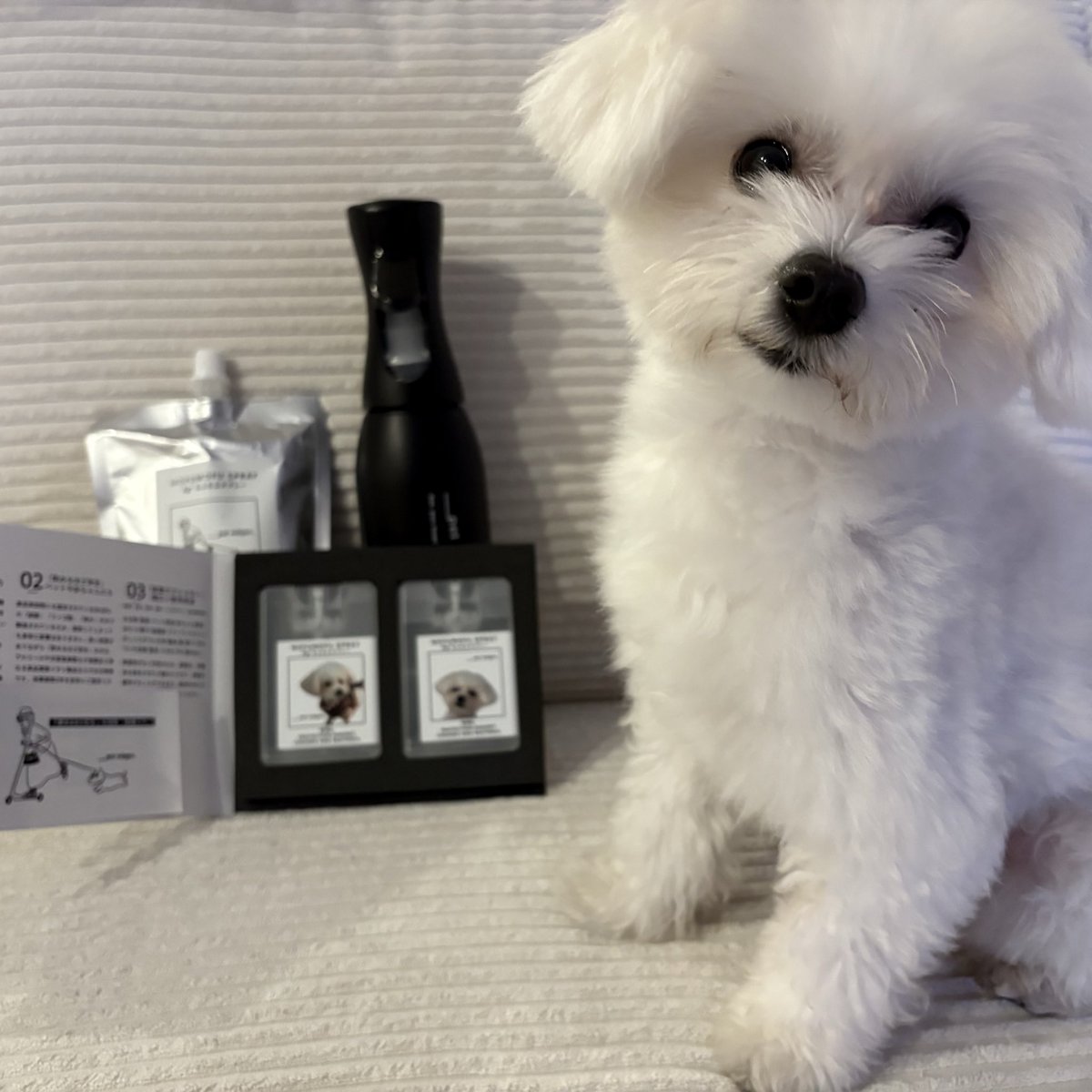 るー (@ruu920) / Posts / X