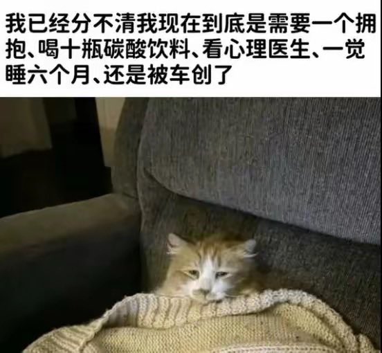 你现在需要什么？