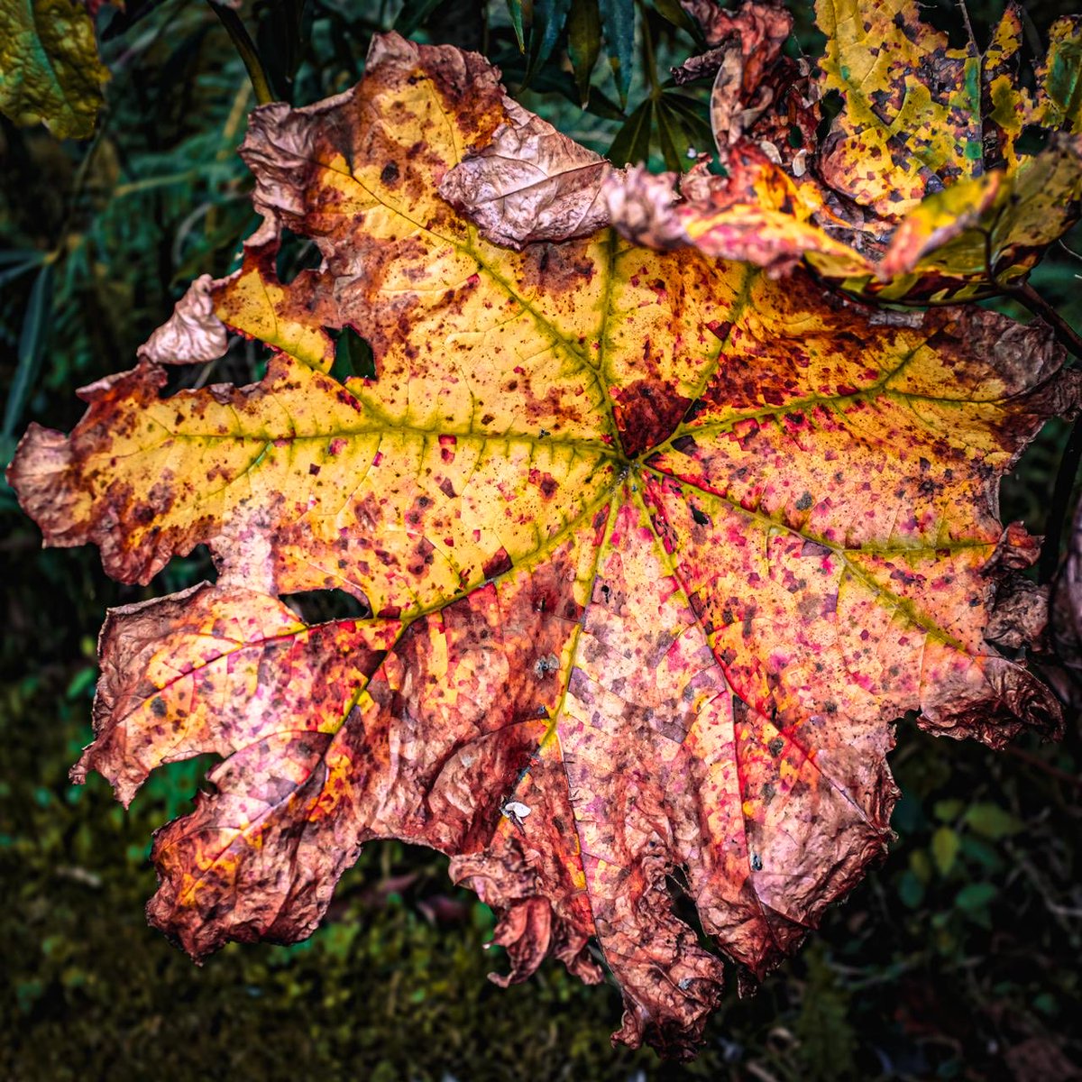 Paul Inman FRSA tweet media