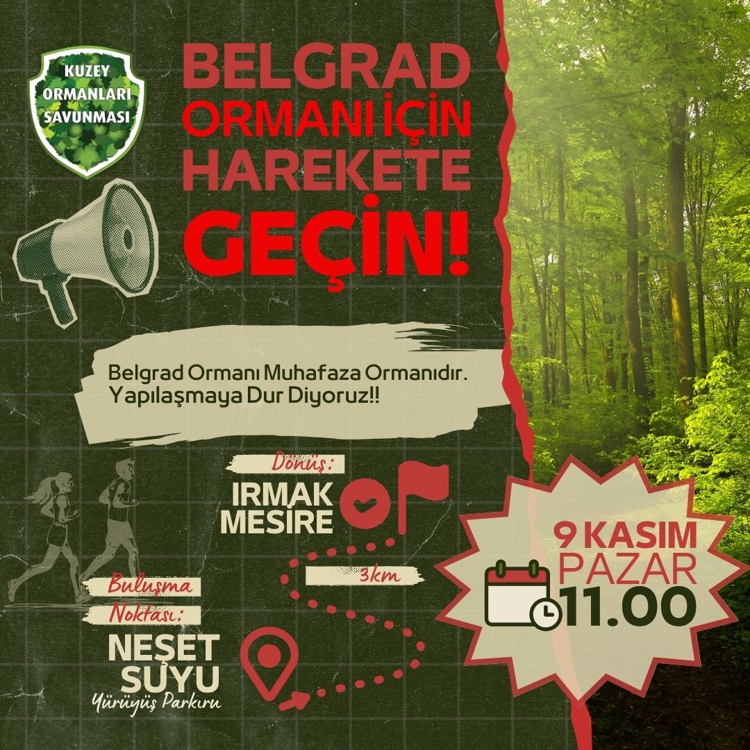 İstanbul’un nefesi Belgrad Ormanı için harekete geçiyoruz!!

Belgrad Ormanı biyolojik çeşitliliğiyle, suyuyla, tarihsel mirası ile savunduğumuz Kuzey Ormanları’nın en değerli parçalarından birisidir ve *Muhafaza Ormanı*'dır. Bugün ormanımız; tabiat parkı, mesire alanı adı altında