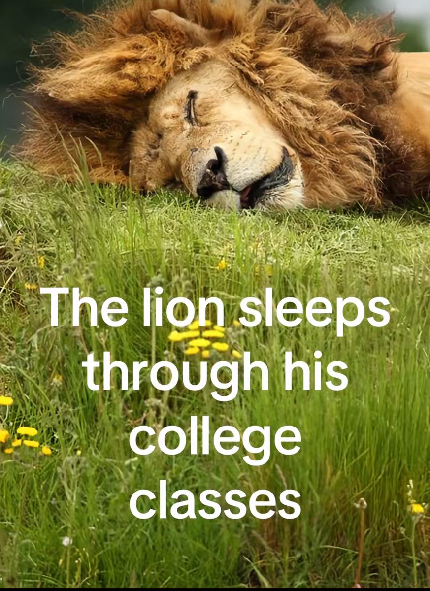 الوضع في الريسيرش🫩