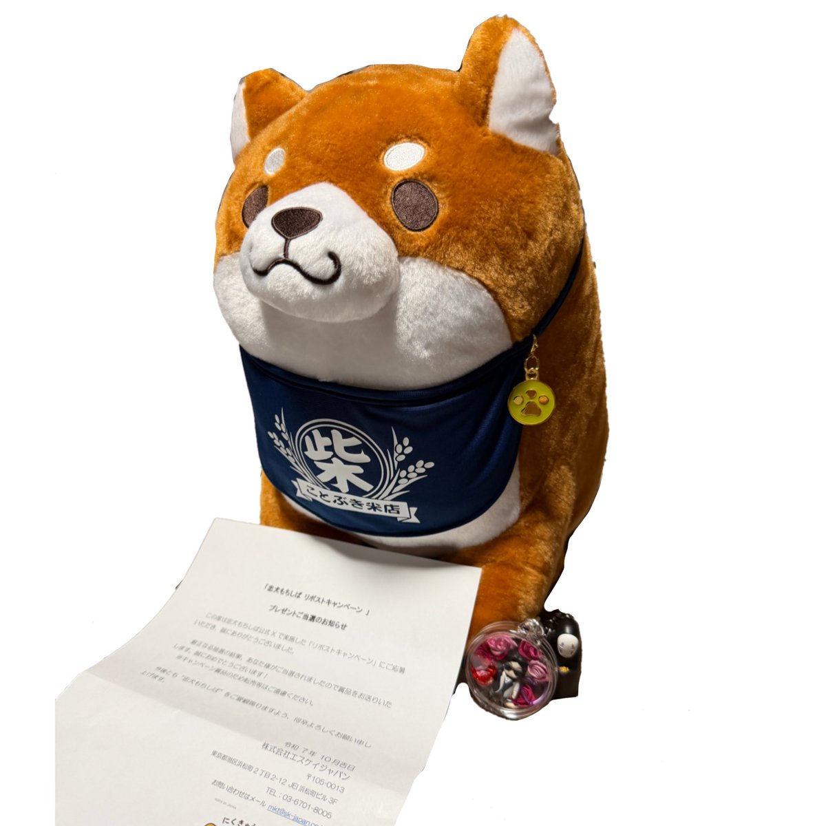 shiba様ご依頼品 [Shiba Inu Vertical Sticker] Delivery Box, Front Entrance, 2 Types, Cute  Shiba Inu Sticker (H6.9 x W3.3 inches (175 x 85 mm), Waterproof, Heat