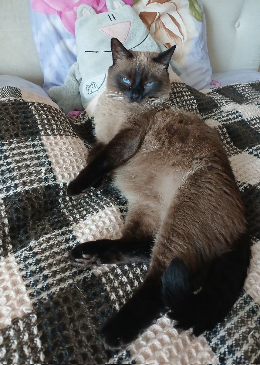 И без вкусней не возвращайся, женщина