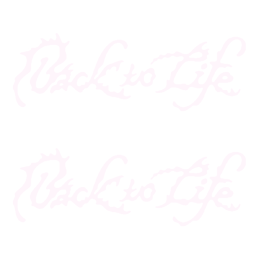 🍥 tweet media