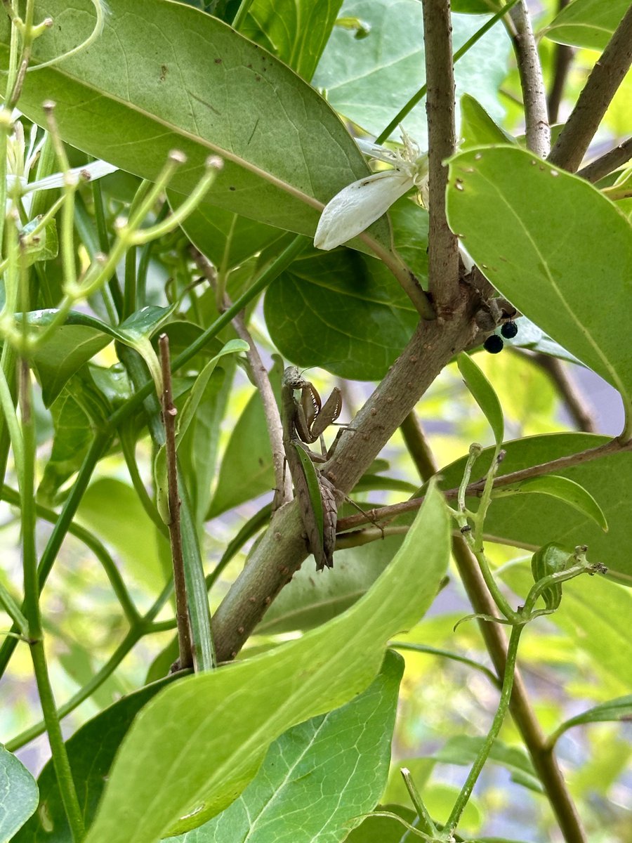 その他 Mr.aramaki Junki Nakamura (@JK_HIKER) / Posts and Replies / X