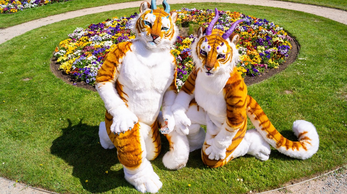 Putting this Golden Tiger  Fullsuits on etsy for sale - For a better Price you can DM me, also for any questions aswell. :D etsy.com/de/listing/439…