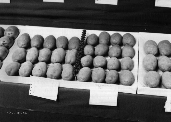 5/11/23, 12:12
015656+.jpg [1/1] (12hr)