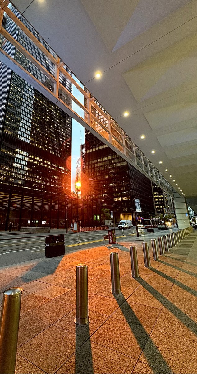 Bit of magic this morning on King West, at Bay.