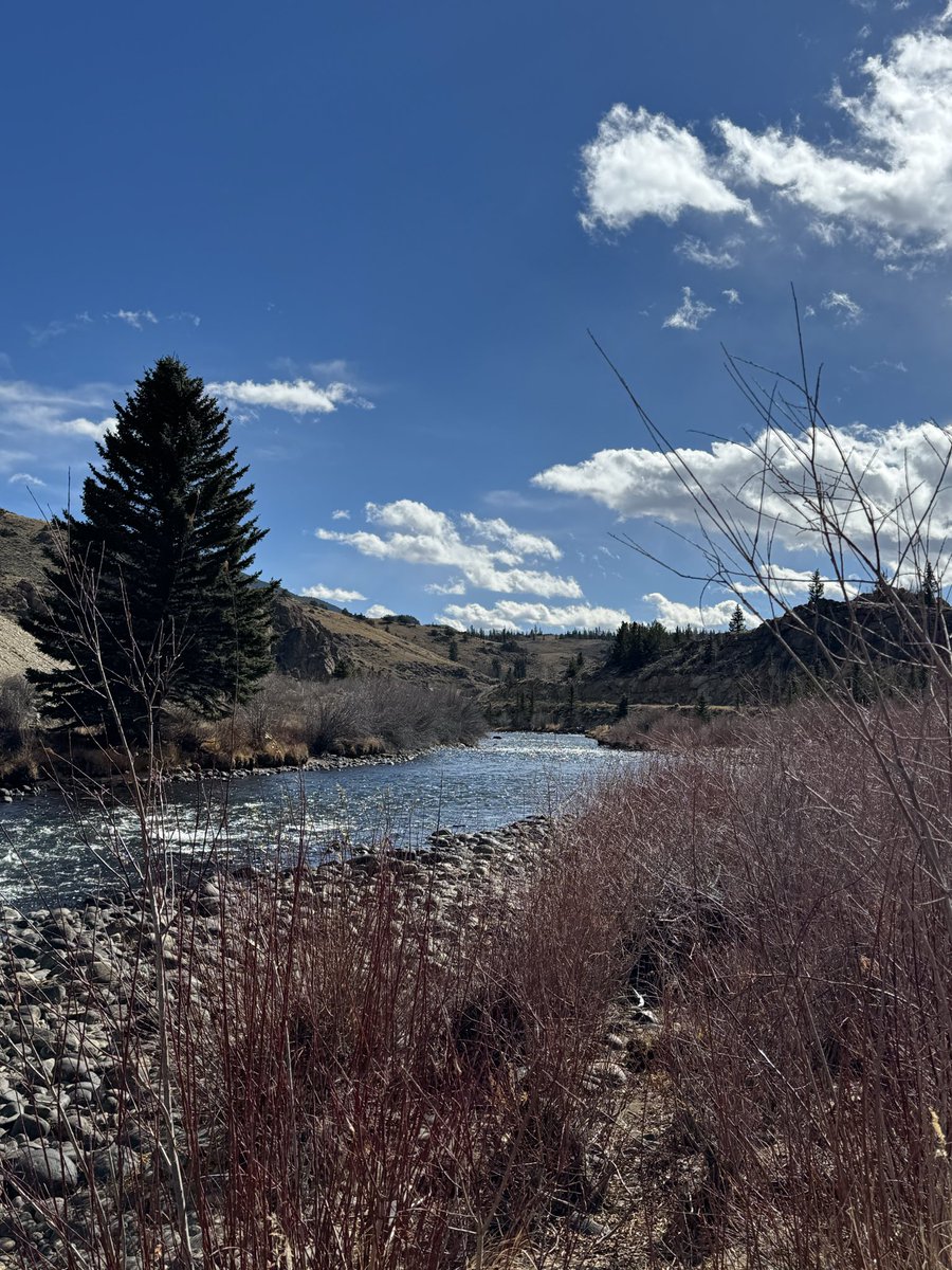 Day 44 -  Pikes Peak (to the Top we go).   The this trip is winding down as we wind our way along the beautiful sites of Pikes Peak and Garden of the Gods today.  Epic sights and sounds and special suprises along the way.   Let’s Go!  Carpe Diem 

twitch.tv/lala_carpediem