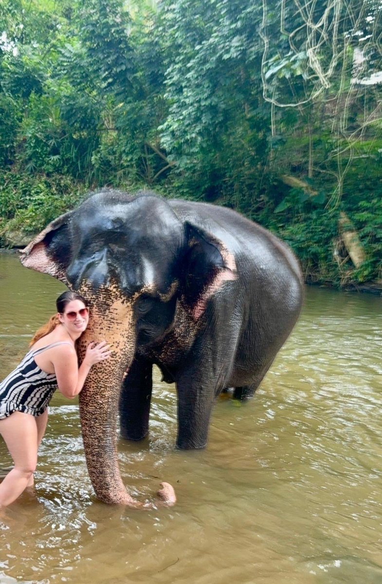 _Bianca_G__'s tweet photo. Say hello to my new friend 🐘 https://t.co/RIedQrxbFX