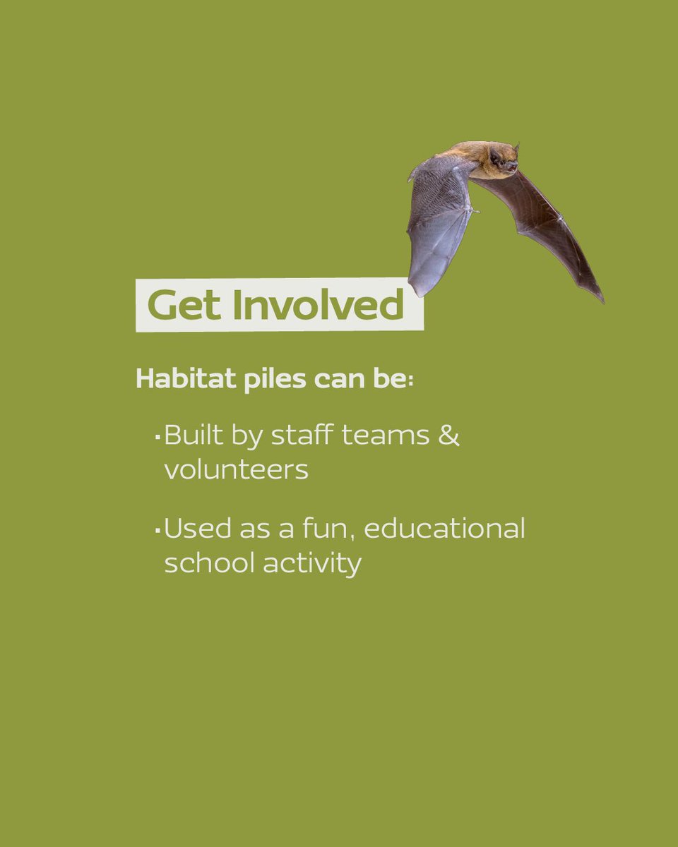 A Rocha UK tweet media