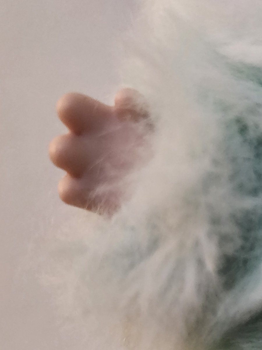 My hands look like this so ✨️hers✨️ can look like that 💅