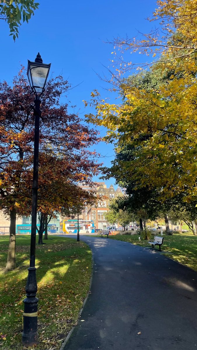 PontistGirl's tweet image. #TreeClub North East style 🍂