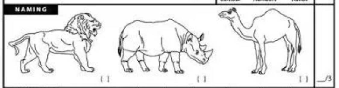 RuttagerR1's tweet photo. @GovPressOffice Tiger, Elephant and Giraffe https://t.co/TJYvuqneLy
