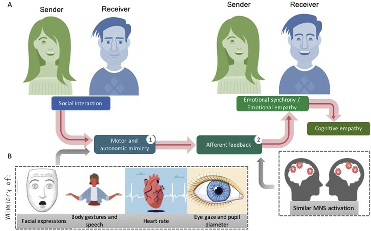 In 1994, scientists put healthy students with depressed roommates.

3 weeks later, something disturbing happened to the healthy students.

Nobody expected this.

Here's what they discovered: