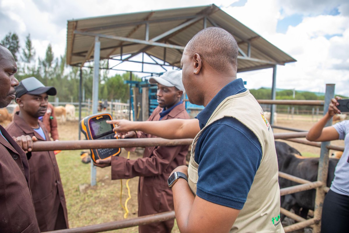 PS Mueke visited Ongole Farm, a standout model of livestock commercialization and value addition. Ongole is driving innovation — growing its own feed, using digital farm-to-fork traceability, training farmers, and producing premium beef products.