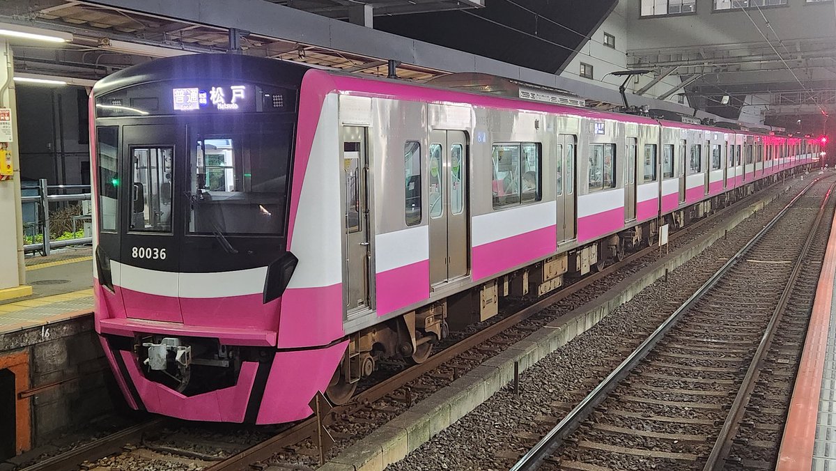 松と鶴　NＴ-132 松と鶴 NT-132 松と鶴 NT-132