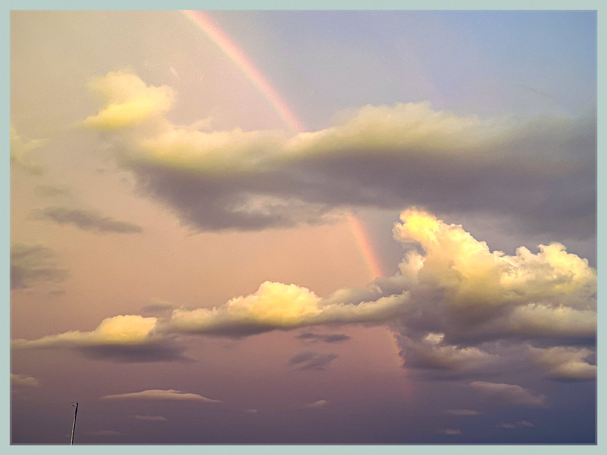 GingerSnapNft’s📸 tweet media