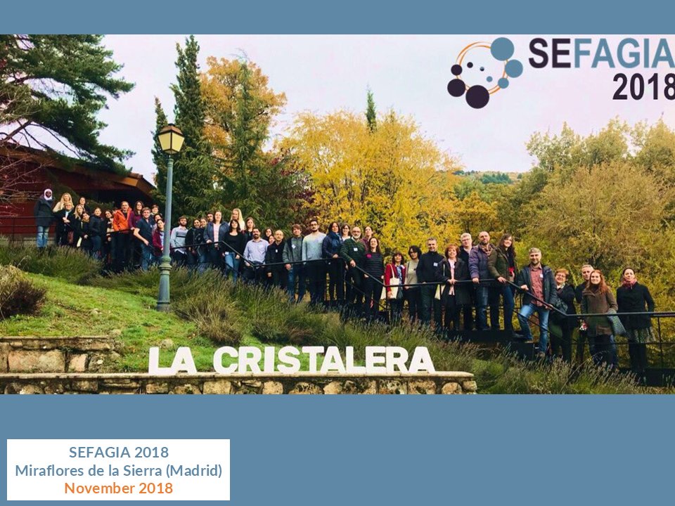 SEFAGIA_'s tweet photo. ⏰¡Menos de 24 horas para #SEFAGIA2025!
Repasando congresos anteriores: ¡tantas amistades y colaboraciones en estos 12 años!

⏰Countdown to #SEFAGIA2025! It is a good moment to take a look back at our previous meetings. So many friends and collaborations during these 12 years! https://t.co/CNMNRVnhpQ