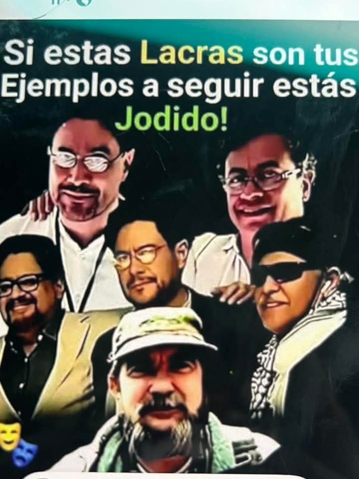 Carolina Rincon tweet media