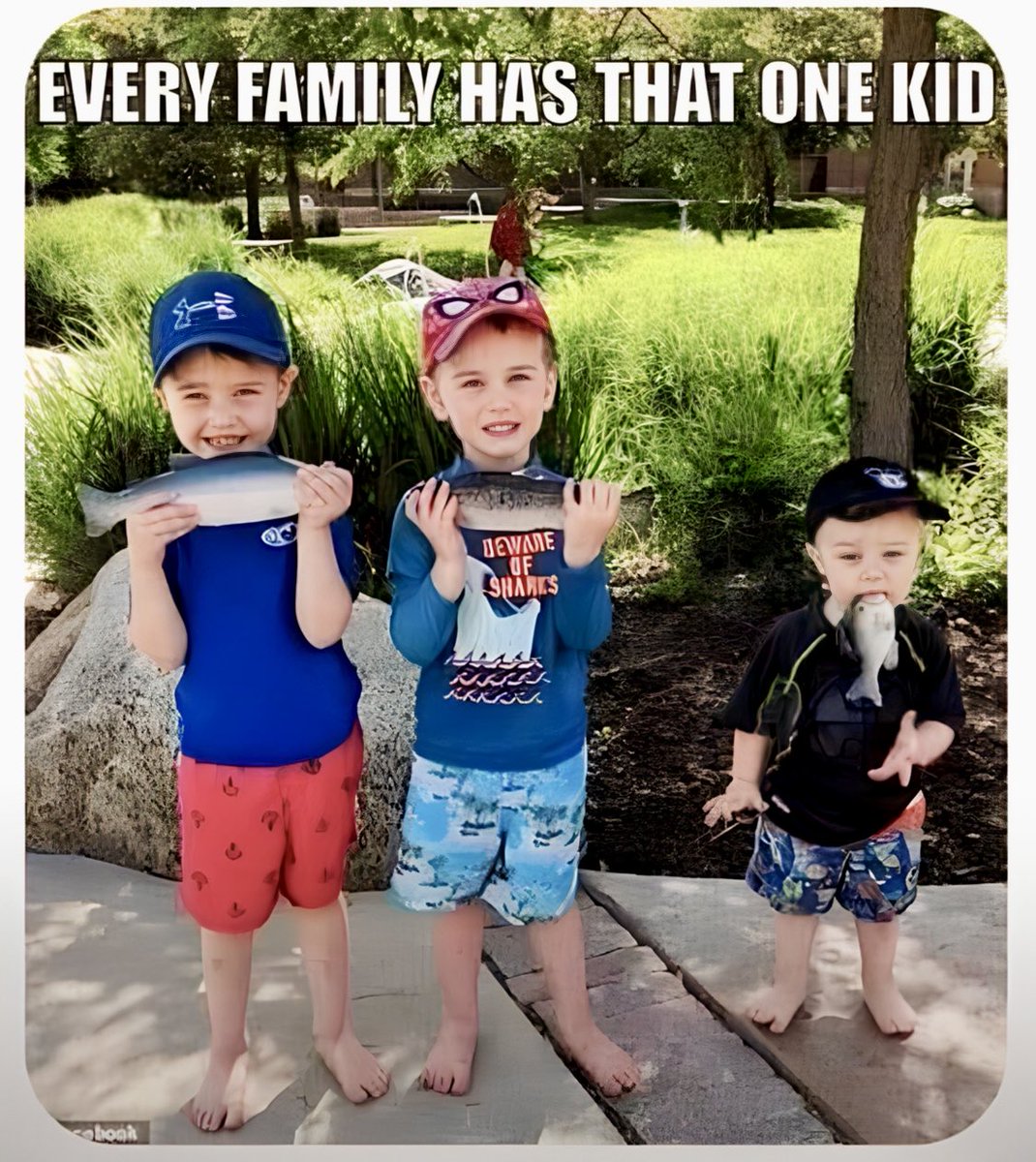 Lloyd Legalist tweet media